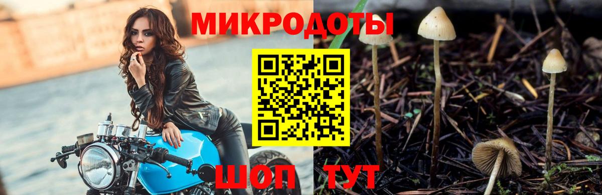 Тула  Галлюциногенные грибы MAGIC MUSHROOMS  Галлюциногенные грибы GOLDEN TEACHER  Вход с VPN 